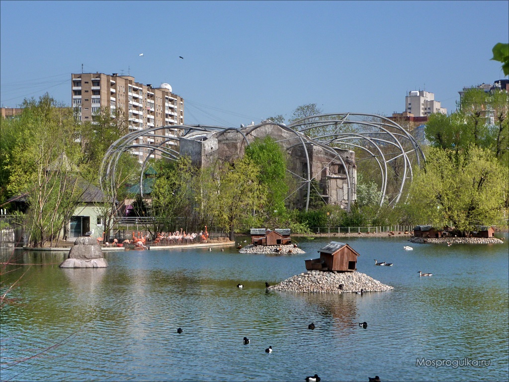 Скала хищных птиц в Московском зоопарке