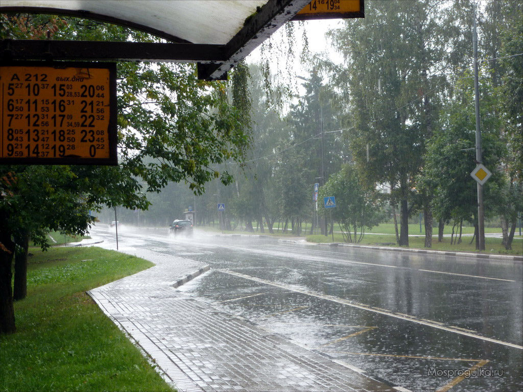 Куркино: автобусная остановка, Куркинское шоссе, дождь