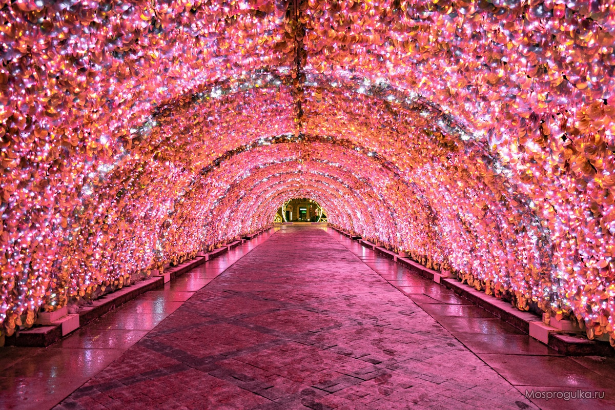 Новогодний световой тоннель на Никитском бульваре