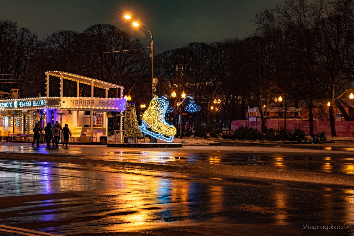 Инсталляция в виде коньков на Пушкинской набережной