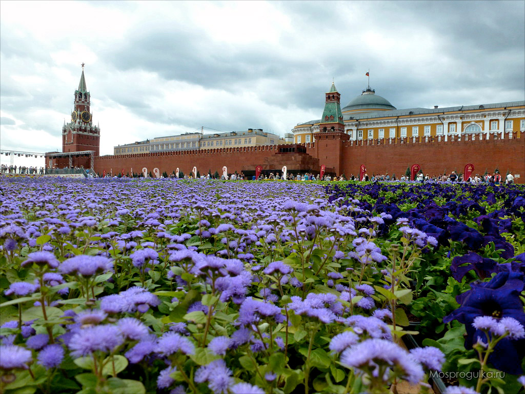 Юбилей ГУМ: фестиваль цветов на Красной площади