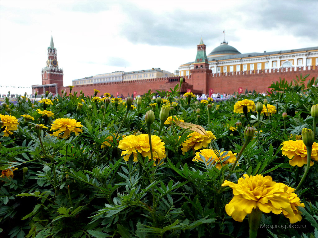 Юбилей ГУМ: фестиваль цветов на Красной площади