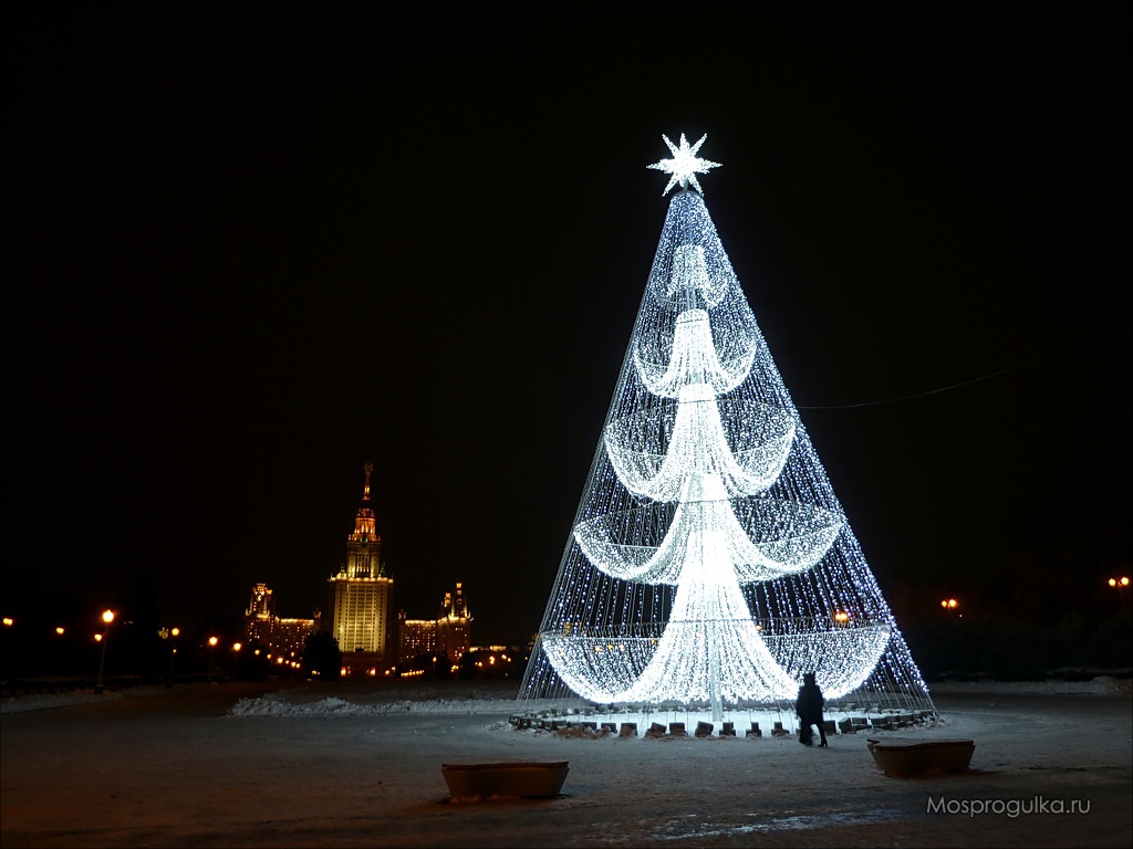 Новый Год 2015. Новогодние ёлки Москвы: Воробьёвы горы